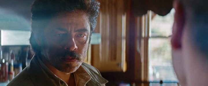 Le belve, scheda film, recensione, Oliver Stone, Salma Hayek, Benicio Del Toro, Blake Lively,