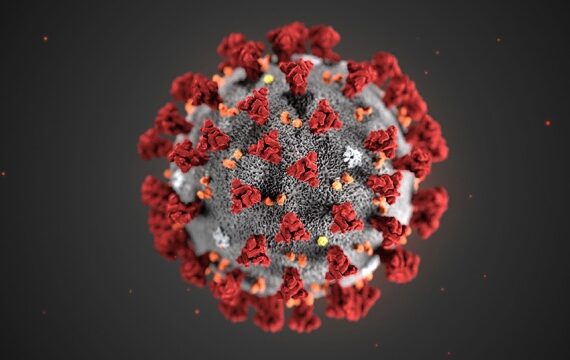 HBO e Adam McKay stanno sviluppando una serie sul coronavirus