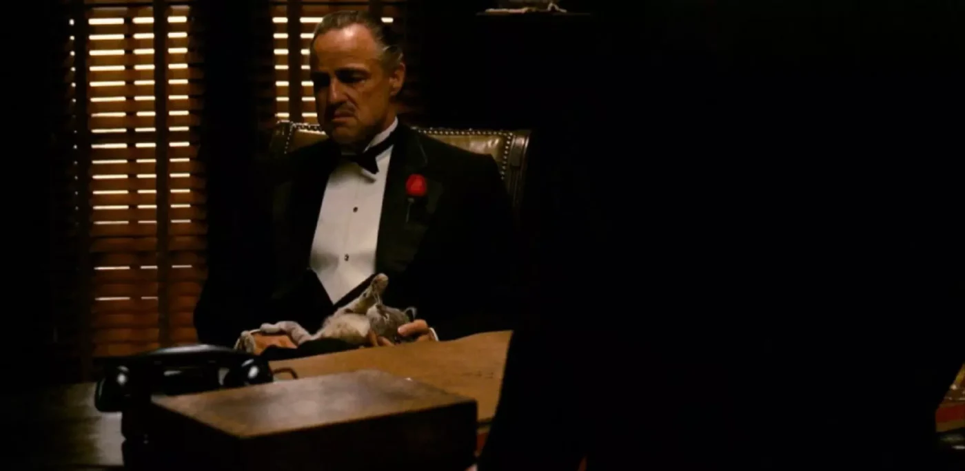 I gatti al cinema. Il padrino, The Godfather, 1972, Francis Ford Coppola, Marlon Brando, don Vito Corleone, gatto