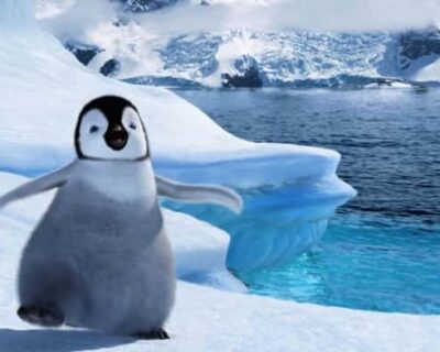 Happy Feet, scheda film d’animazione di George Miller
