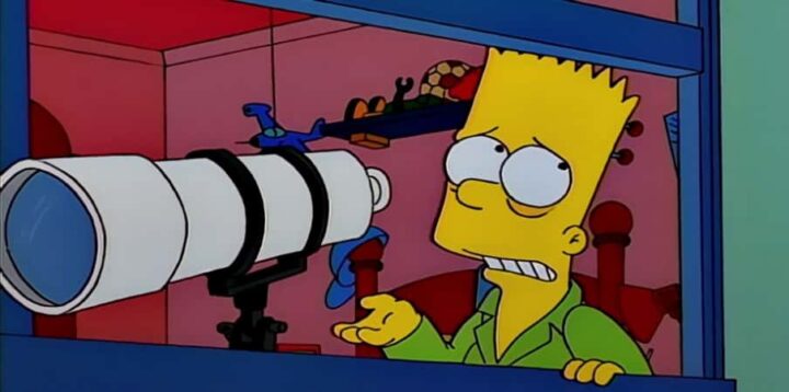 I Simpson sesta stagione frasi, episodio 1, La finestra sul giardino, Bart telescopio