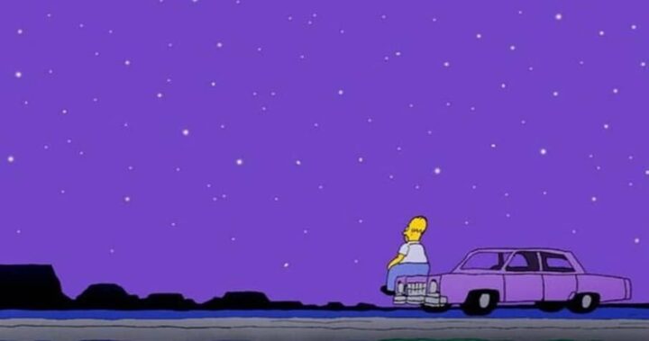 I Simpson settima stagione frasi e citazioni, episodio 8, Mamma Simpson, Homer, cielo, stelle