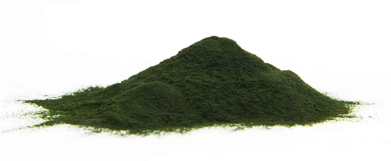 Spirulina